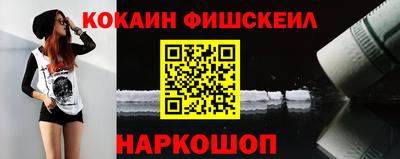 гашик Владимир