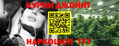 гашик Владимир