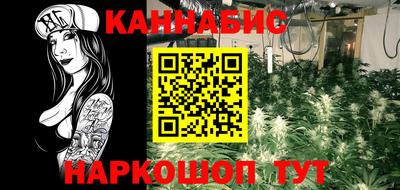 гашик Владимир