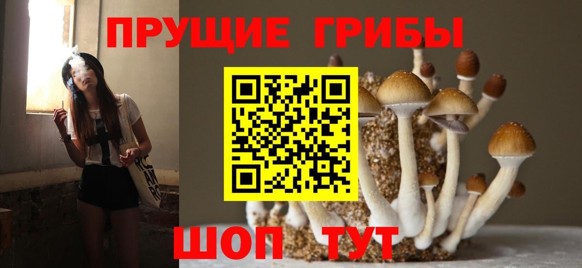 Псилоцибиновые грибы Cubensis  Вход с VPN  Алексин 
